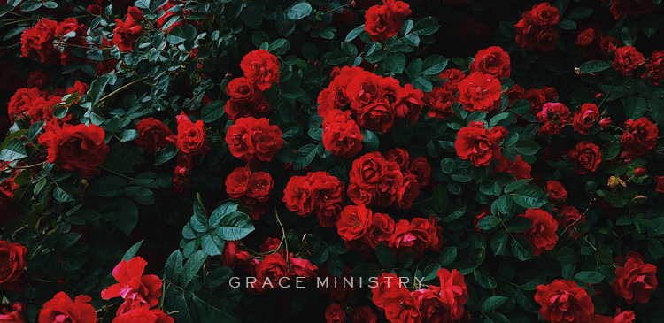 Devotions for Women: 5 Bible Verses to Avoid Gossip
